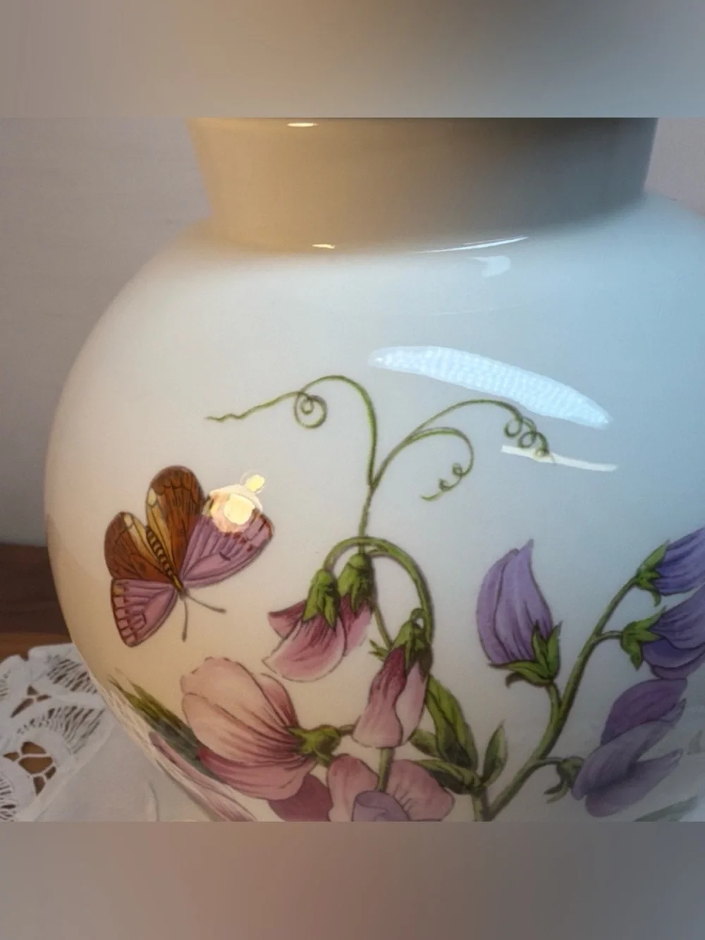 VTG‎ Portmerion Botanic Garden 13
